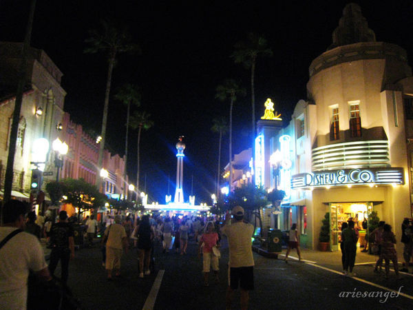 MGM Night View 