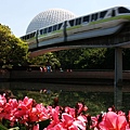 Epcot