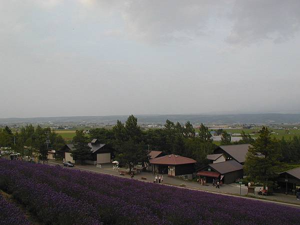 眺望富良野的景色2