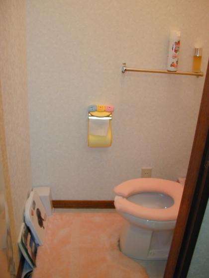 我家的廁所