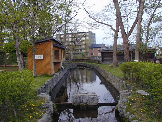 鮭魚公園 2