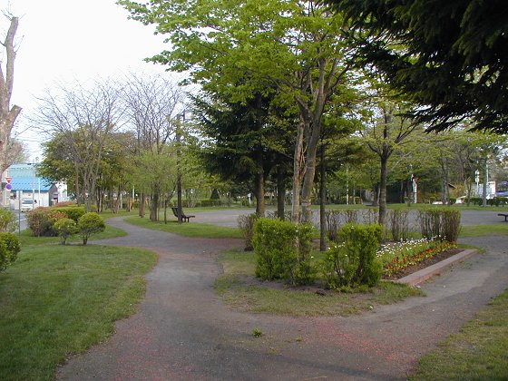 公園裡的步道