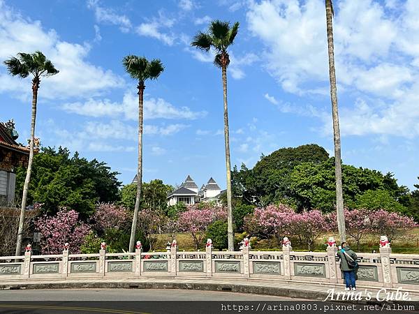 【Arina 旅遊】台灣賞櫻好去處 ~ 林口竹林山觀音寺 櫻