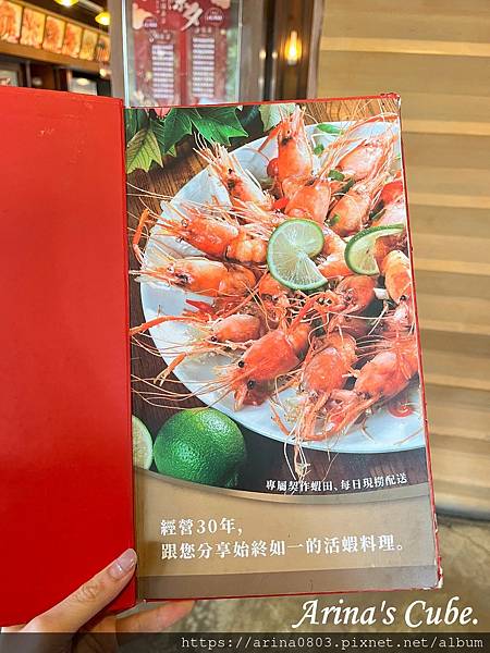 【Arina 美食】台中聚會餐廳 活蝦料理 易鼎活蝦 台中店