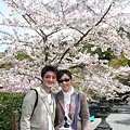 櫻花樹下合照