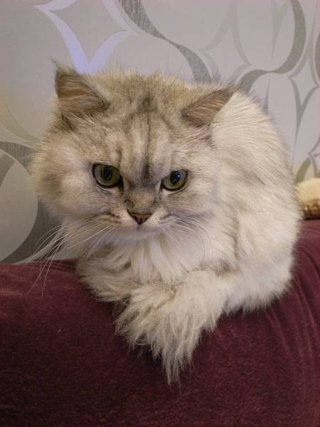 妹妹每晚還是在這邊~