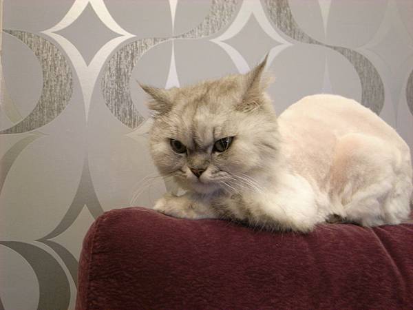 她現在跟著一起喝水~