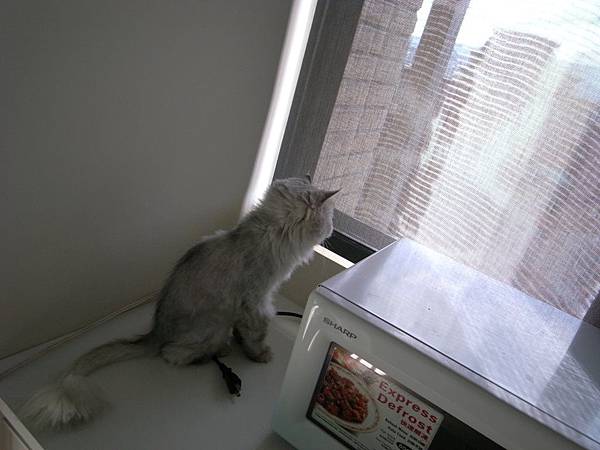 後來我把窗簾給拉起來~