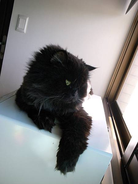 想不到黑皮也是在曬~