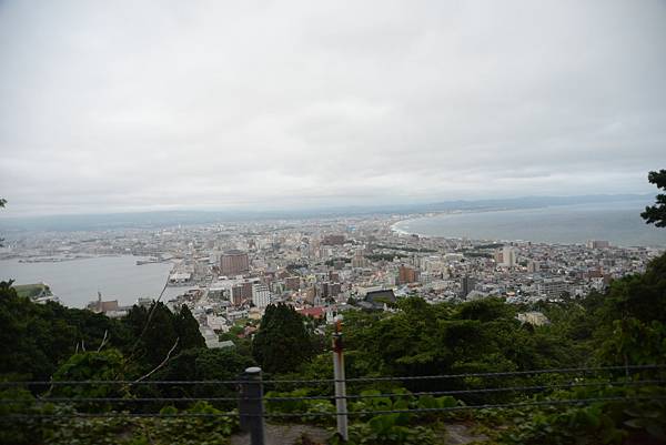 一路上山也會停一下讓我們看,整車都在驚呼