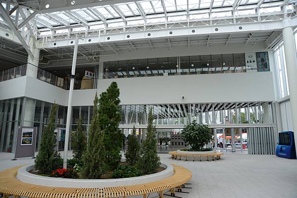 如果有陽光灑下來一定很美