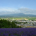 遠方是十勝岳吧