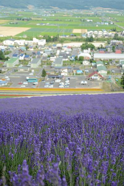 很會拼觀光的地方