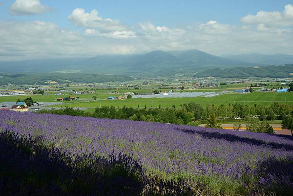 遠方的十勝岳