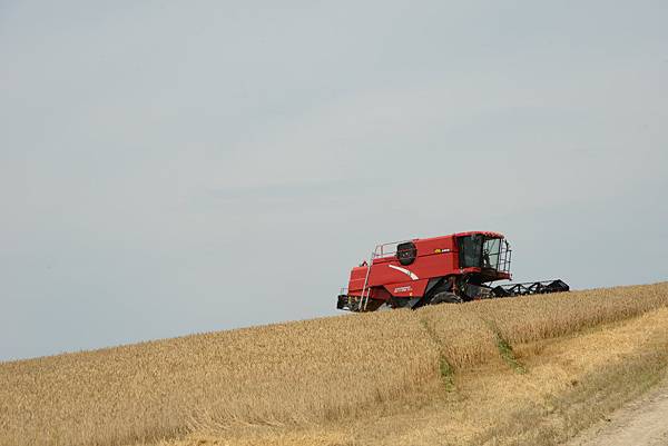 那個紋路是他弄出來的嘛~