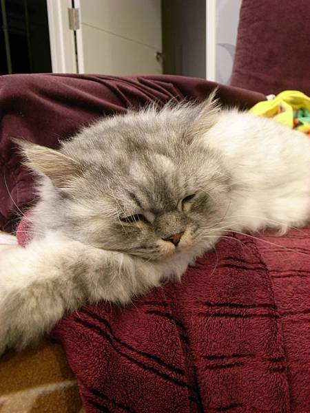 超好玩超愛這個位於~