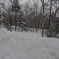 陰天又下雪的~~