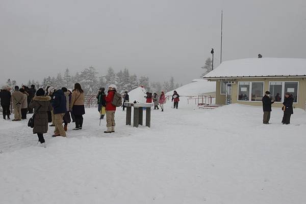 大家都在上面拍照~~