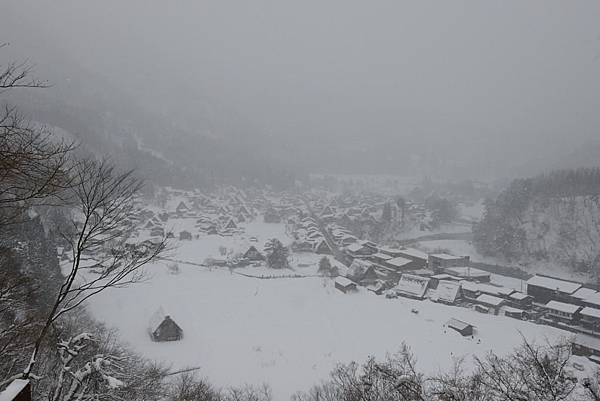 老大他們進去三腳架區了~