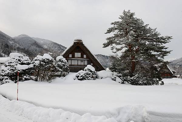 和田家