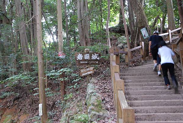 這邊還是要爬一段階梯