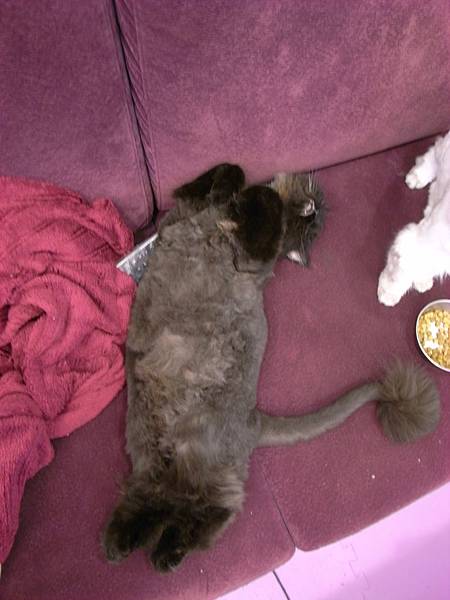 晚上就在沙發扭~