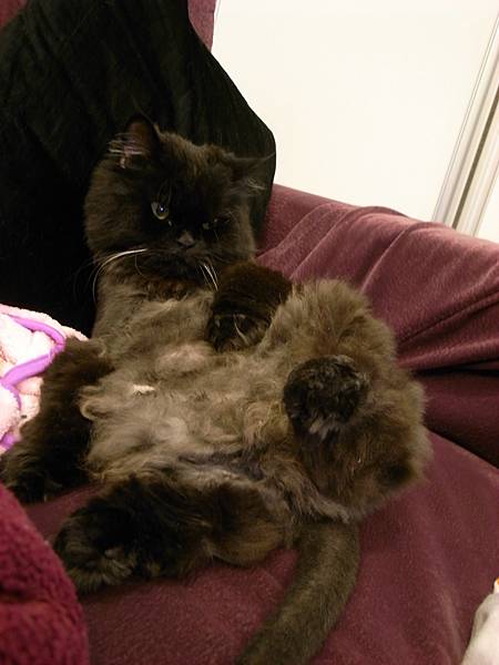 是怎樣坐沙發嘛~