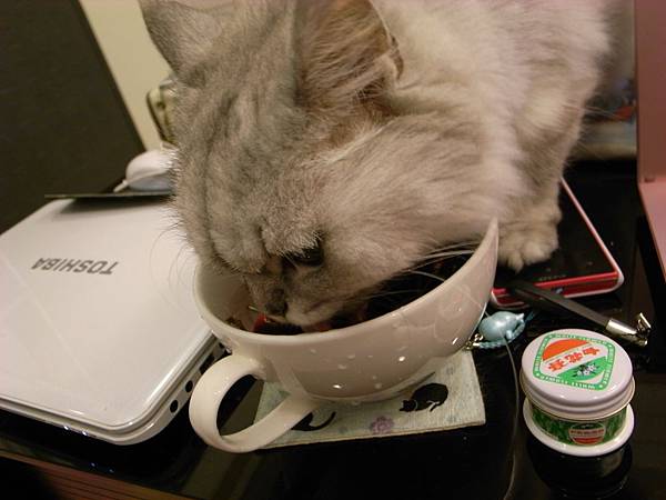 愛吃櫻桃上的水~又冰