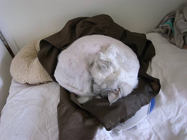 這麼愛我的衣服ㄛ