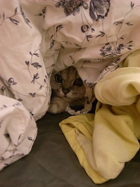 以為是要抓她去醫院~