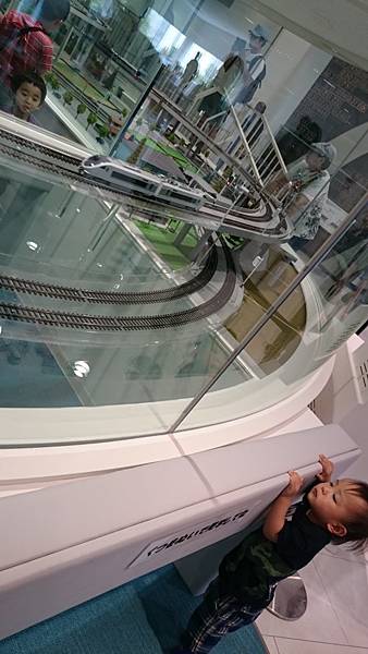 超愛看的~整個跑來跑去，不夠高還看的好認真~