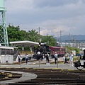 超有氣勢~我跟他說爸爸媽媽在北海道坐過喔~