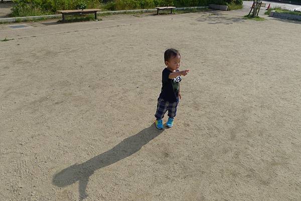 阿勇又追鴿子了~