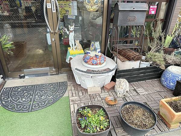 2023_02_06_12_17_IMG_4616.JPG 2023_02_06_12_17_IMG_4616.JPG