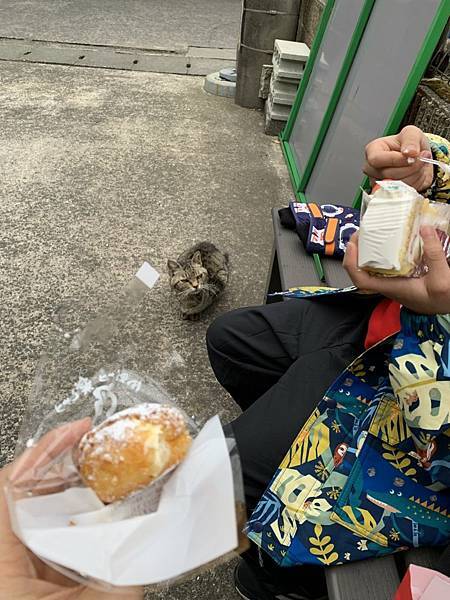 20230206_131639+0900-3296436.jpg 20230206_131639+0900-3296436.jpg