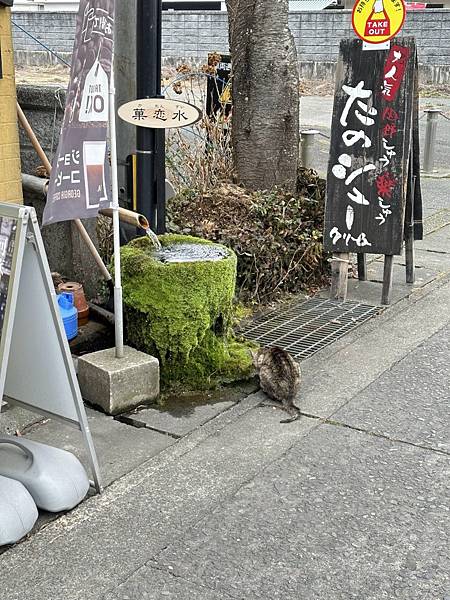 2023_02_06_12_09_IMG_4588.JPG 2023_02_06_12_09_IMG_4588.JPG