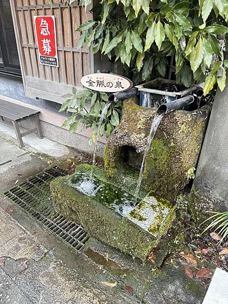 2023_02_06_11_52_IMG_4569.JPG 2023_02_06_11_52_IMG_4569.JPG