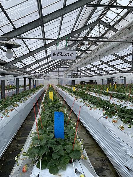 20230206_104119+0900-6289554.jpg 20230206_104119+0900-6289554.jpg