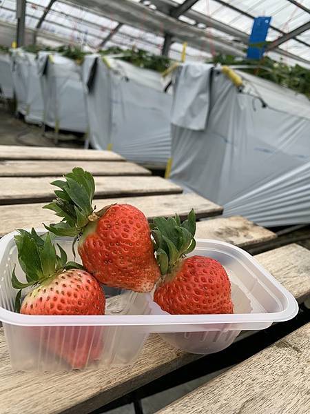 20230206_104248+0900-2921742.jpg 20230206_104248+0900-2921742.jpg