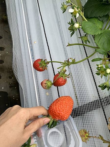 20230206_102509+0900-3938010.jpg 20230206_102509+0900-3938010.jpg