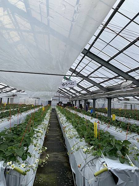 20230206_103500+0900-5620602.jpg 20230206_103500+0900-5620602.jpg