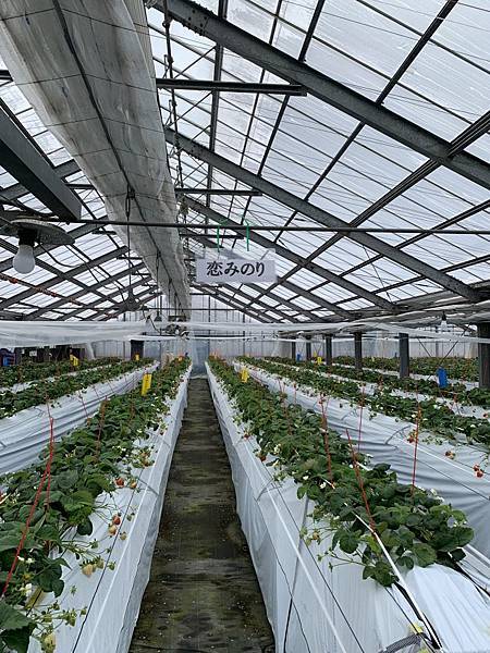 20230206_103512+0900-6442936.jpg 20230206_103512+0900-6442936.jpg