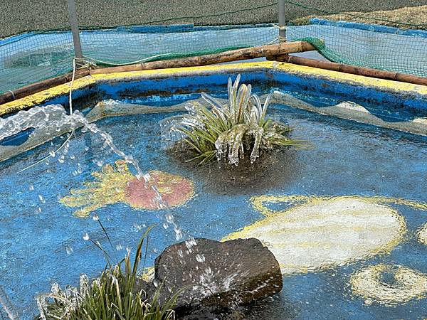 2023_02_06_08_37_IMG_4520.JPG 2023_02_06_08_37_IMG_4520.JPG