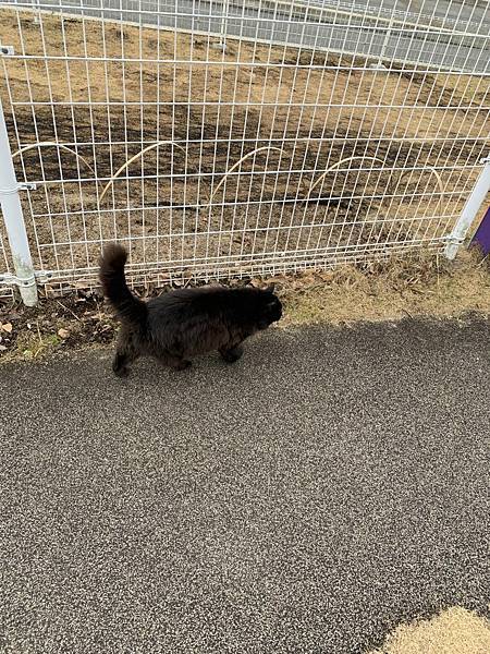 20230206_100032+0900-9266974.jpg 20230206_100032+0900-9266974.jpg