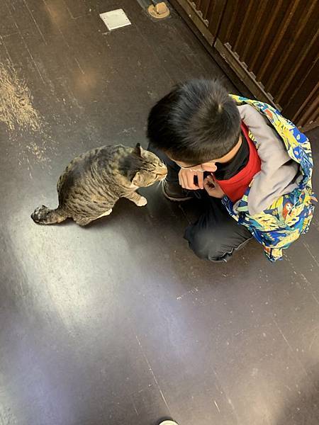 20230206_155334+0900-2953282.jpg 20230206_155334+0900-2953282.jpg