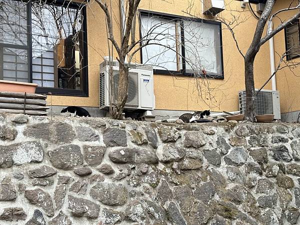 2023_02_06_14_47_IMG_4730.JPG 2023_02_06_14_47_IMG_4730.JPG