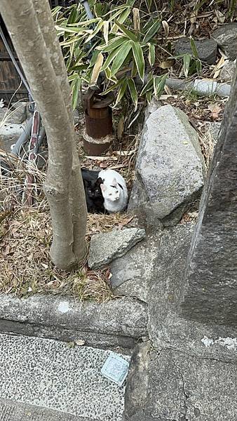 2023_02_06_14_11_IMG_4684.JPG 2023_02_06_14_11_IMG_4684.JPG