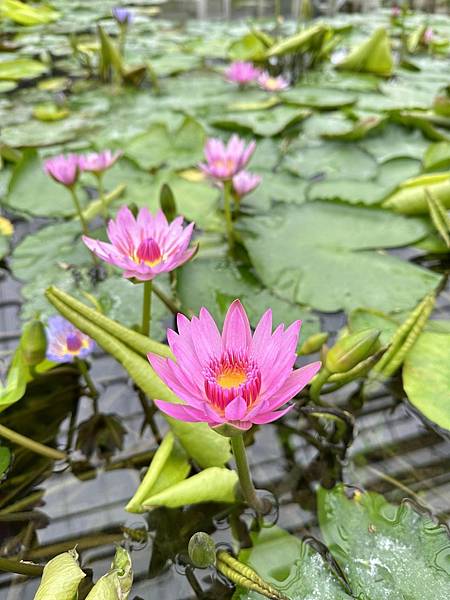 2023_02_07_13_17_IMG_5093.JPG 2023_02_07_13_17_IMG_5093.JPG