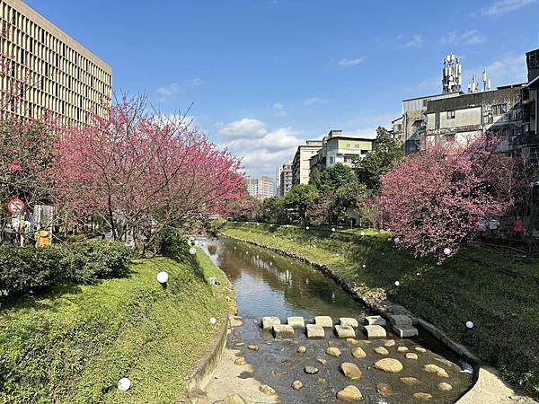 2023_01_29_09_56_IMG_2946.JPG 2023_01_29_09_56_IMG_2946.JPG