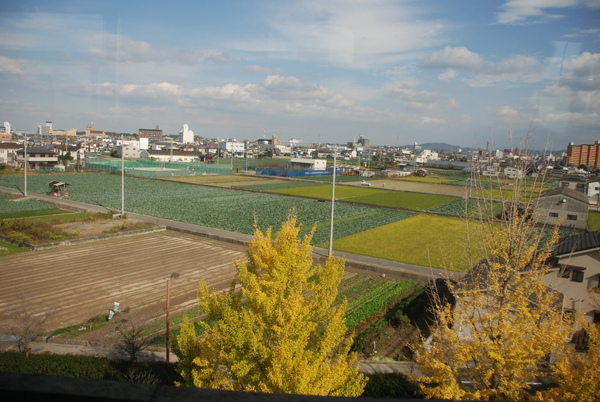 今天天氣好好~窗外好漂亮~